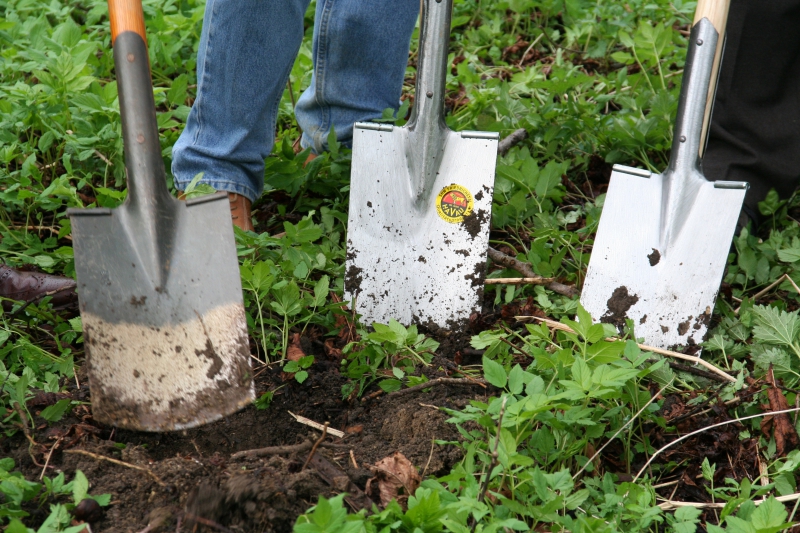 pepiniere-GASSIN-min_work-lawn-flower-tool-green-backyard-1103633-pxhere.com